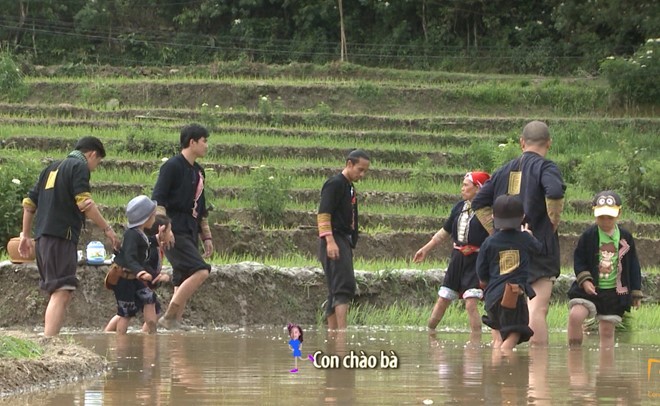 Sao Bo oi Minh di dau the loi bun hoc cay lua-Hinh-3